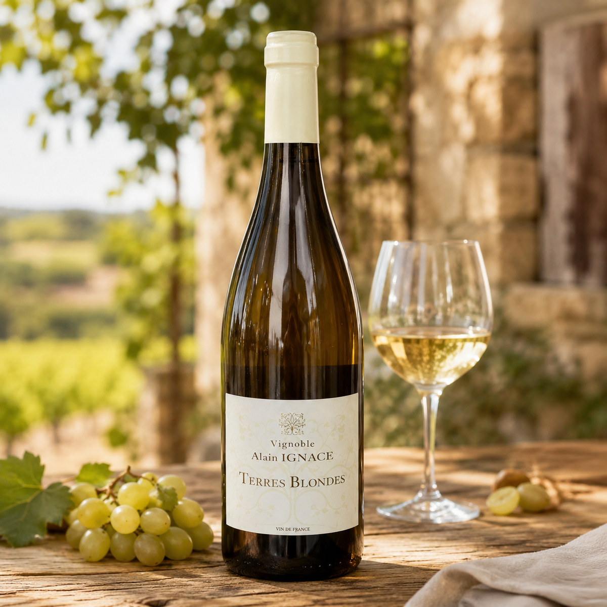 Terre Blonde Blanc – Vin de France – Domaine Alain Ignace