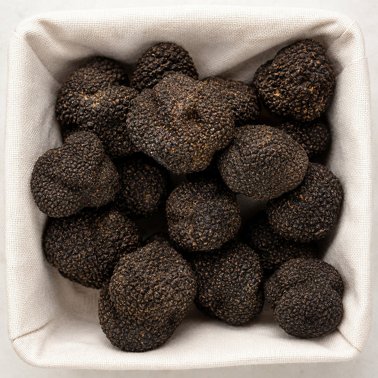 Truffe fraîche d’été – Tuber aestivum – 100 g
