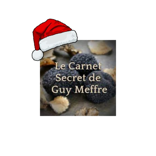 Le Carnet Secret de Guy Meffre