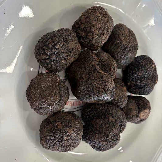 Truffes fraîches d’été Tuber aestivum