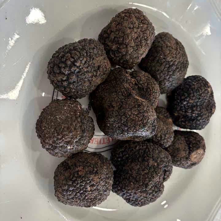 Truffes fraîches d’été Tuber aestivum