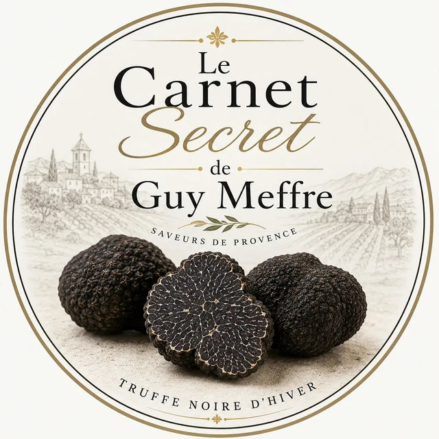 Le Carnet Secret de Guy Meffre